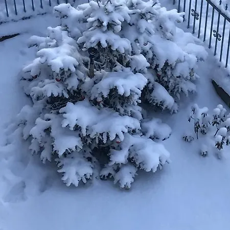 Gasthuis Zimorodek Poczuj Magie Karpacza Parking I Wifi Gratis 3*