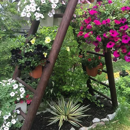 Gasthuis Zimorodek Poczuj Magie Karpacza Parking I Wifi Gratis