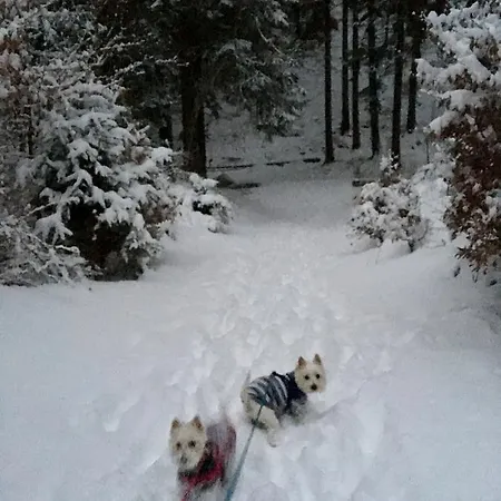 Gasthuis Zimorodek Poczuj Magie Karpacza Parking I Wifi Gratis