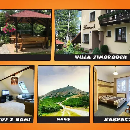 Zimorodek Superior Z Balkonem Szum Lasu I Strumyka Szlaki Aquapark Casa de hóspedes 3*