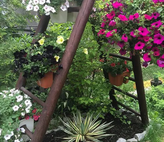 Maison d'hôtes Zimorodek W Sercu Karkonoszy Parking I Wifi Gratis