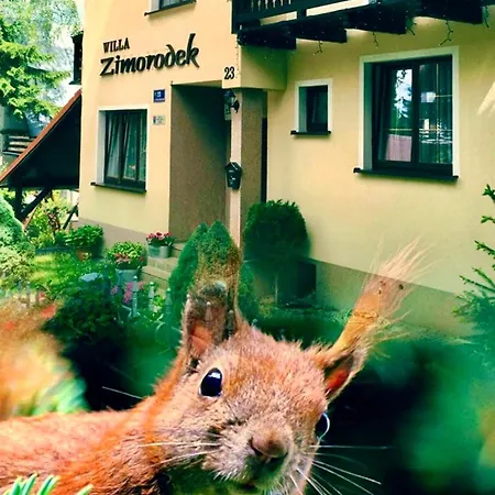 Zimorodek W Sercu Karkonoszy Superior Z Balkonem Szum Lasu I Strumyka Szlaki Aquapark Karpacz