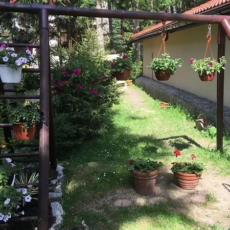 Pensjonat Zimorodek Poczuj Z Nami Magie Karpacza Spacerujac Do Centrum Widok Na Sniezke