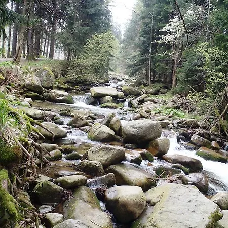 Zimorodek Superior Z Balkonem Szum Lasu I Strumyka Szlaki Aquapark 3*