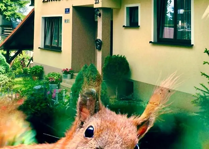 Zimorodek W Sercu Karkonoszy Parking I Wifi Gratis Карпач