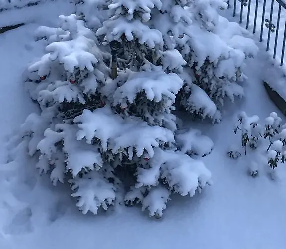 Vendégház Zimorodek W Sercu Karkonoszy Parking I Wifi Gratis 3*