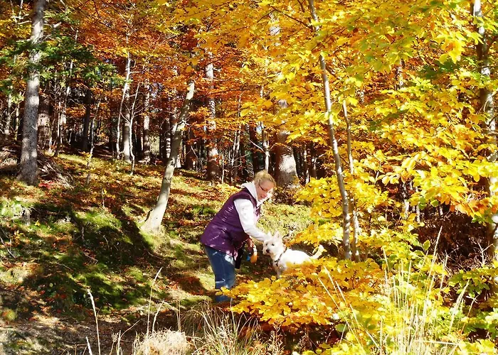 Vendégház Zimorodek W Sercu Karkonoszy Parking I Wifi Gratis Karpacz